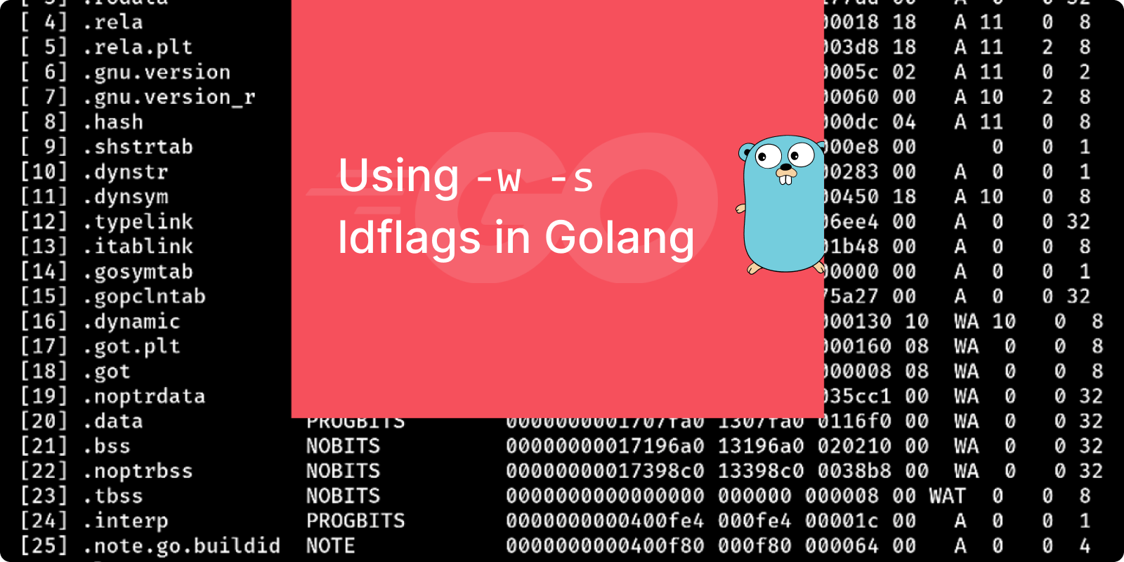 Golang Software Testing Tips